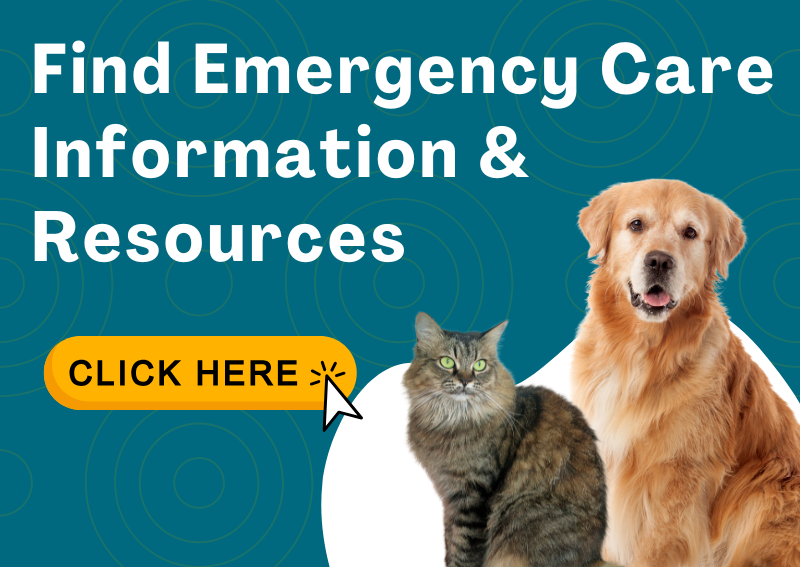 Carousel Slide 2: Find Emergency Care Information